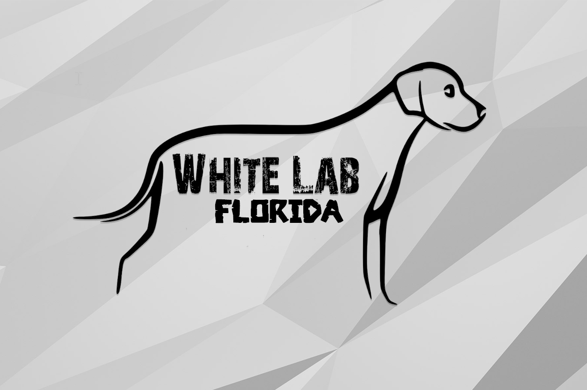White Lab Florida